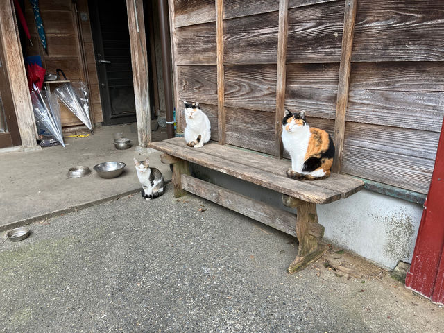 須藤牧場