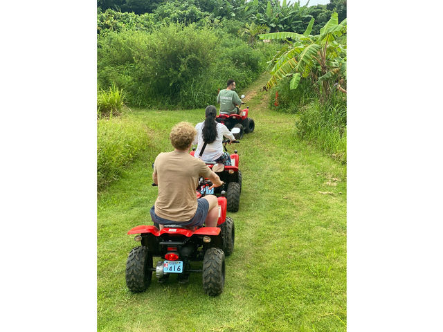 Buggy Paradise