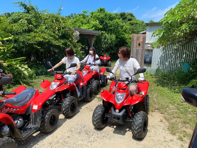 Buggy Paradise