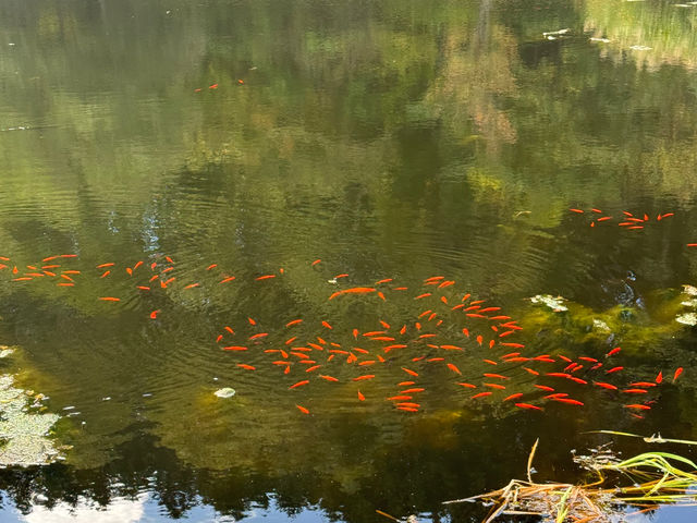北海道ふくろう乃湯リゾート