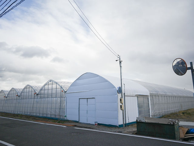2024年11月に完成した新設ビニールハウスです。_すがいベリー