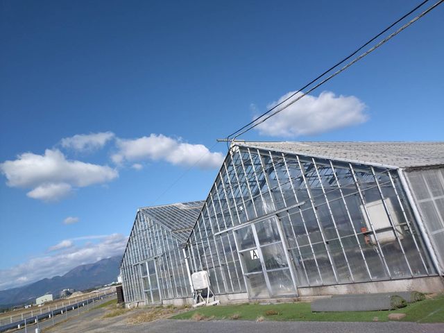 三角屋根のハウスが目印です_おさぜん農園 びわ湖ファーム
