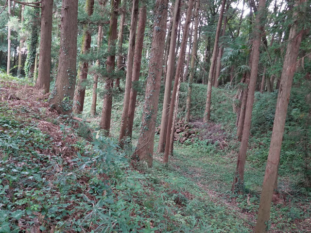 膳城跡