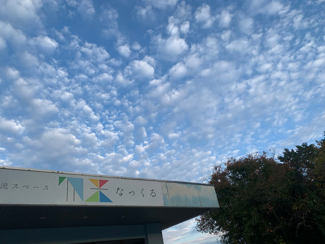 Knuckles Cafe