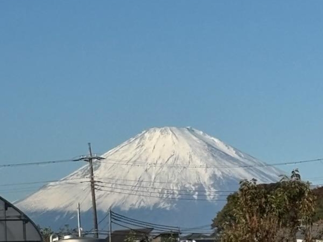 平塚土屋農場