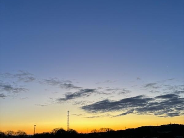 平塚土屋農場