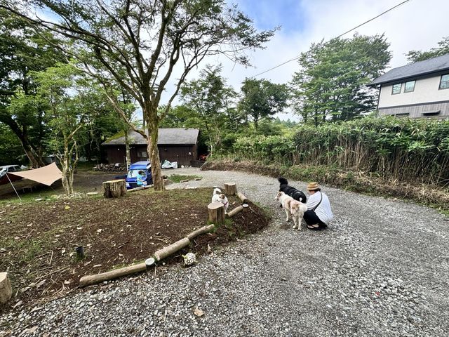 十里木フジドッグ