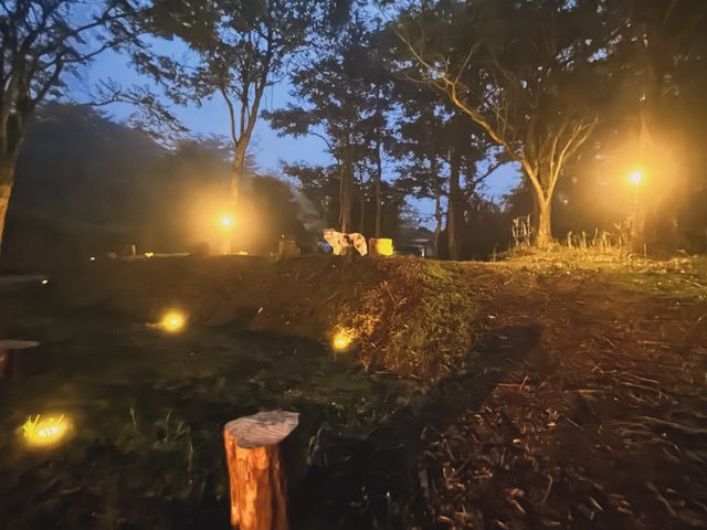 十里木フジドッグ