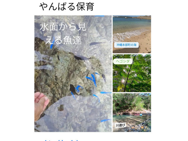 海、川、森、山で思いっきり遊んで強い身体をつくろう!_やんばる保育