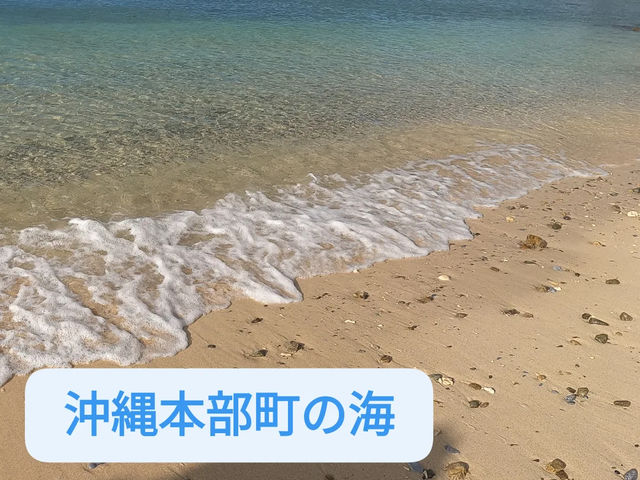 ビーチでは砂遊び、貝や珊瑚探し、生き物探
しをします。_やんばる保育