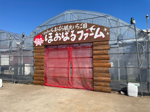 島原観光いちご園 ほおばるファーム
