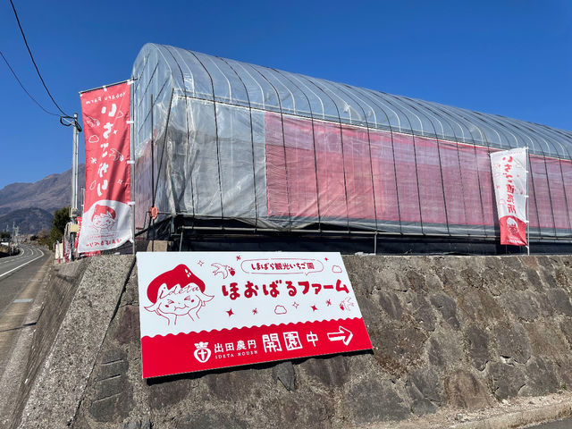 島原観光いちご園 ほおばるファーム