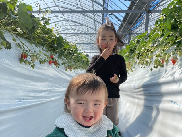 島原観光いちご園 ほおばるファーム