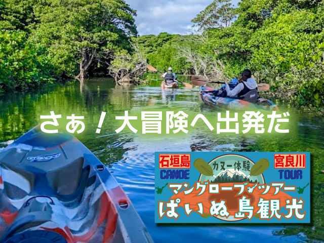 石垣島の宮良川マングローブカヌーツアー。背もたれシート付きカヤックでラクラク楽しい_マングローブツアーぱいぬ島観光