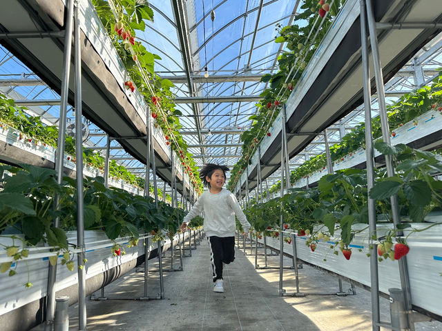 〜・〜・〜・燦燦園へようこそ!・〜・〜・〜_甘熟いちごや 燦燦園