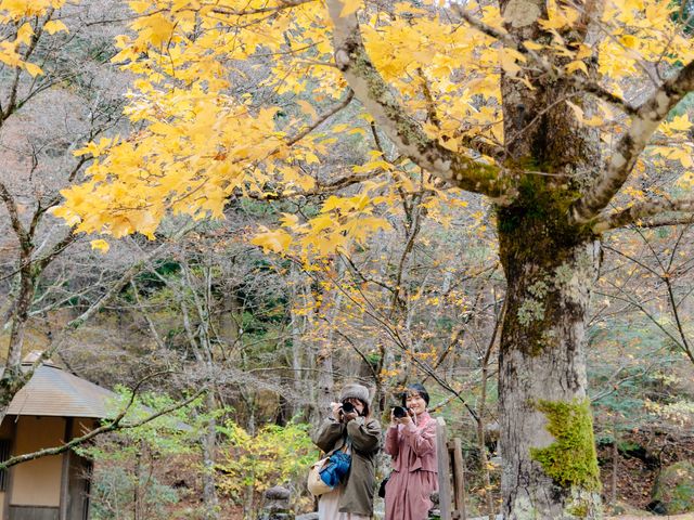 古峯神社の古峯園の11月の写真です。_前日光醸造所