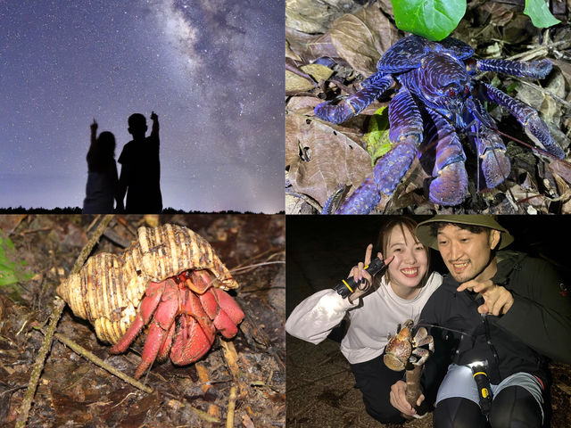 【宮古島】《星空満点ジャングルナイトツアー!!》
お子様にも大人気!!
南の島特有の生き物や植物を観察!!
ツアーの撮影写真データ無料プレゼント!!
_SUNSHINE MARIN 宮古島