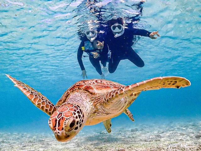 【宮古島】大人気!!★シュノーケルプラン★《ウミガメシュノーケリング》
【初心者やファミリー大歓迎&高画質写真撮影付き】_SUNSHINE MARIN 宮古島