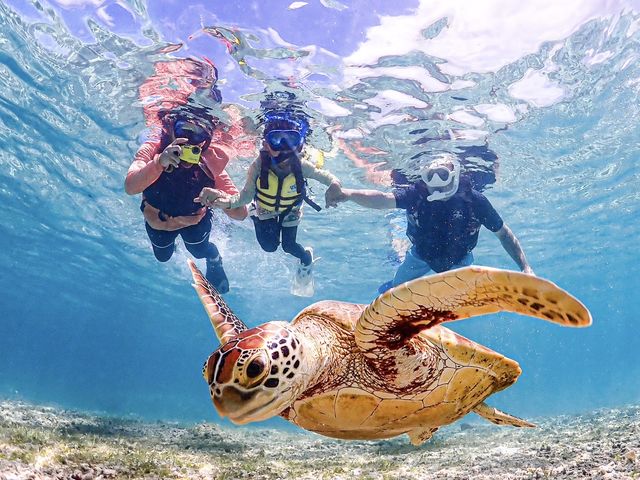 【宮古島】《ウミガメシュノーケリング》迷ったらコレ!
【初心者やファミリー大歓迎&<高画質>写真データ無料】_SUNSHINE MARIN 宮古島