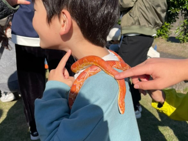 ヘビの首巻き体験_ふれあい体験型動物園・ペットショップ オスカー's