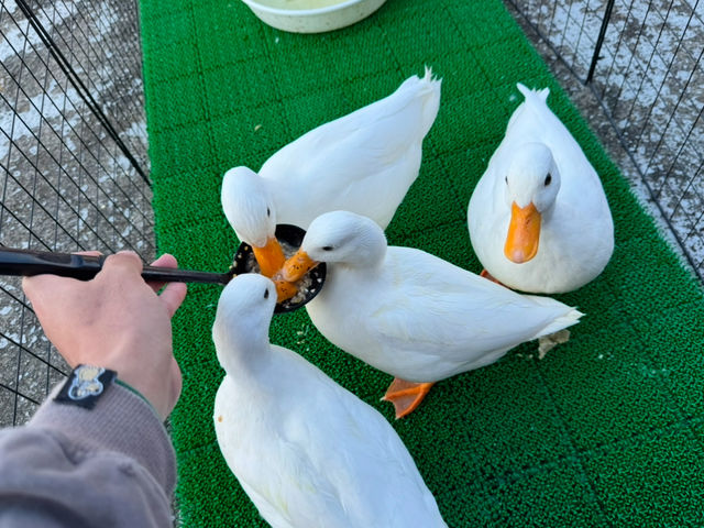 ふれあい体験型動物園・ペットショップ オスカー's