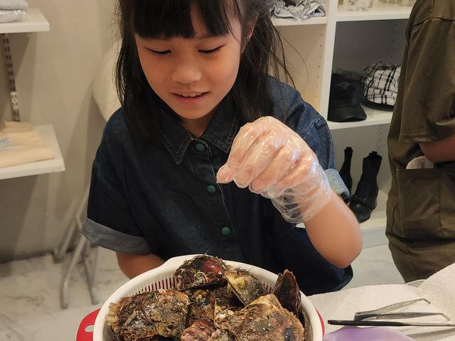 たくさんあるアコヤ貝からご自身がビビッと感じたアコヤ貝を1つ選んでいただきます。_Angel Destiny