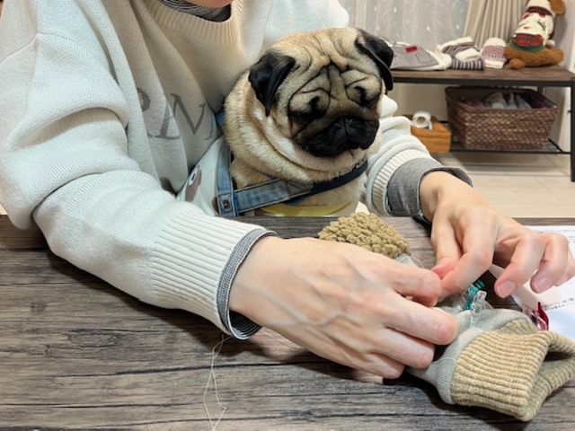 ママを応援するわんこ!_犬服教室 CHERRY-LOULOU