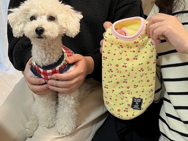 体験で作ったお洋服が完成!_犬服教室 CHERRY-LOULOU