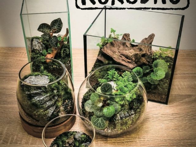 苔人~Kokebito~