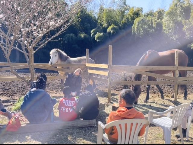 一日会員体験で馬を中心とした暮らしを味わえます。_葉山道草牧場