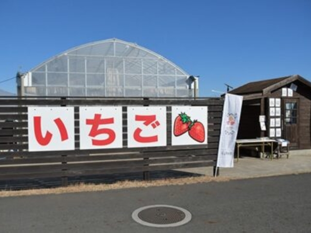 檜山いちご園
