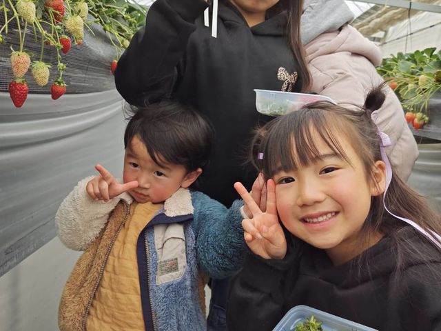 檜山いちご園