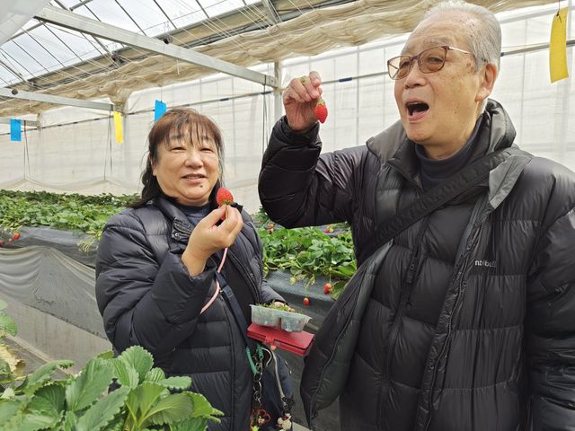 檜山いちご園