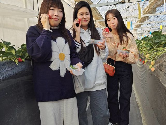 檜山いちご園