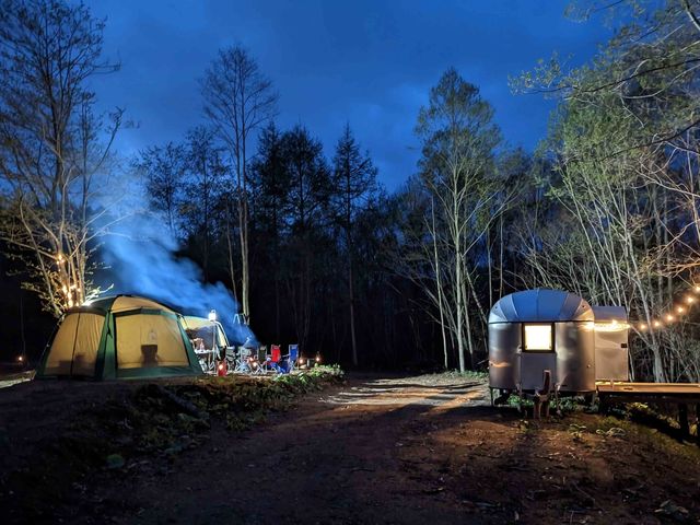 空港やフェリーターミナルから近い静かな森に泊まれるRVパーク_RV FOREST 310