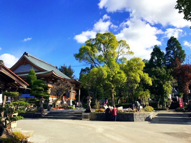 善楽寺境内_四国第三十番 善楽寺