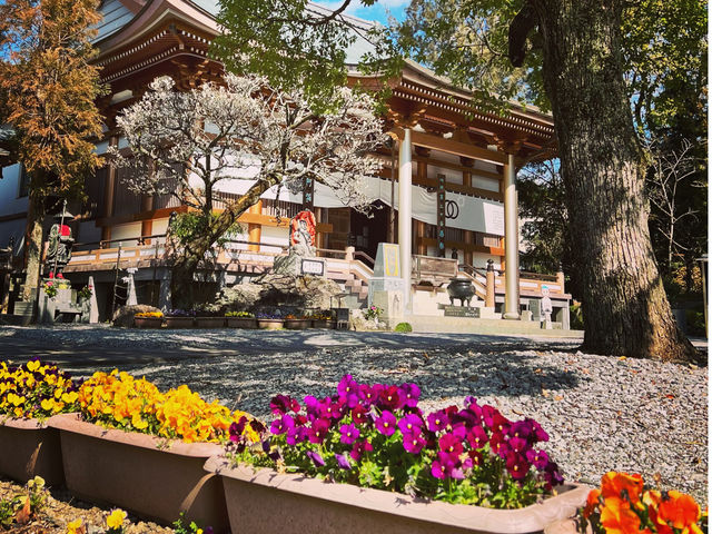 善楽寺本堂_四国第三十番 善楽寺