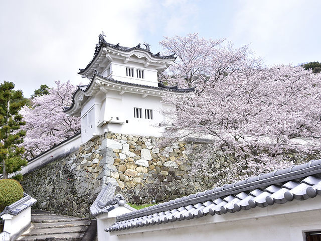 龍野城(春)_龍野 紫水亭