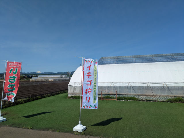 堀江ファーム