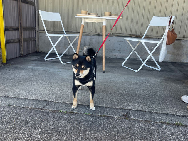 ワンちゃん連れの方は屋根ありガレージテラス席にて案内可能_オトギノハコ