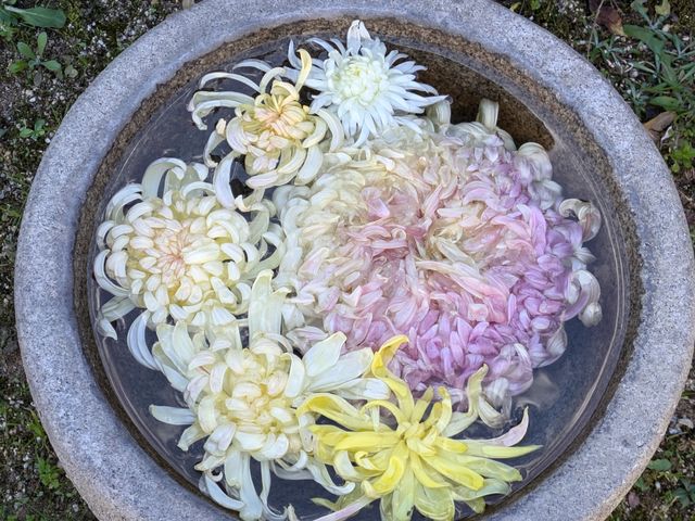 旧市川家住宅
