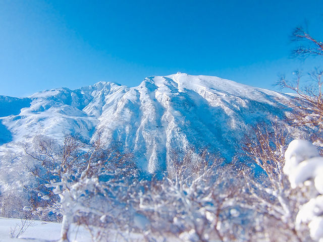 大雪山国立公園のスケールの大きな絶景を体験_富良野-Greenjourney-