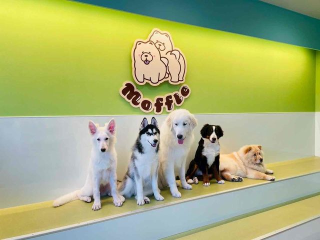 moffle 福岡天神店