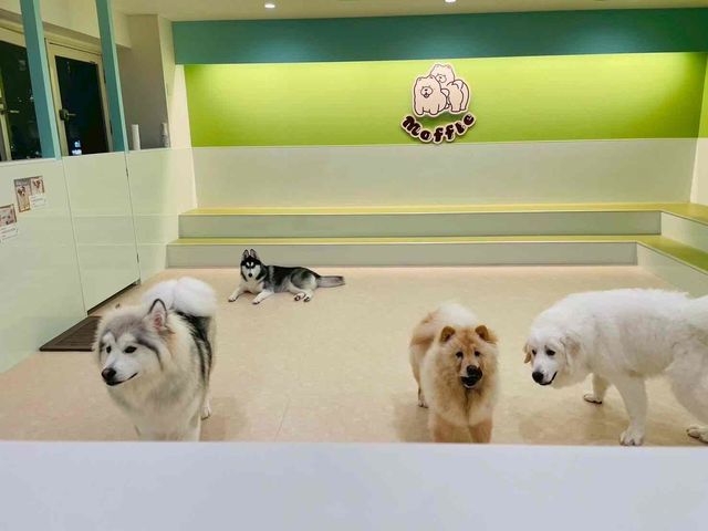 moffle 福岡天神店