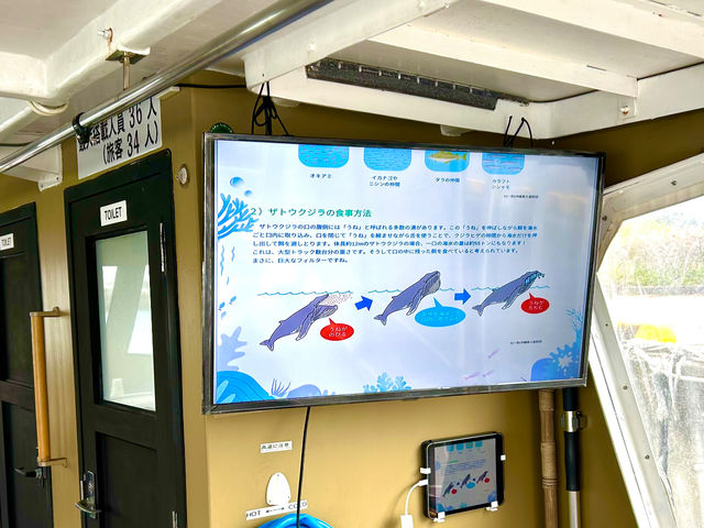 ポイントまでクジラのレクチャーを聞いて、より楽しく観察しましょう!!_アクアルナ