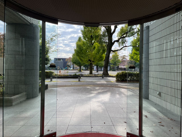 もくせい会館の南側の大きな公園_自力整体教室【静岡・もくせい会館】