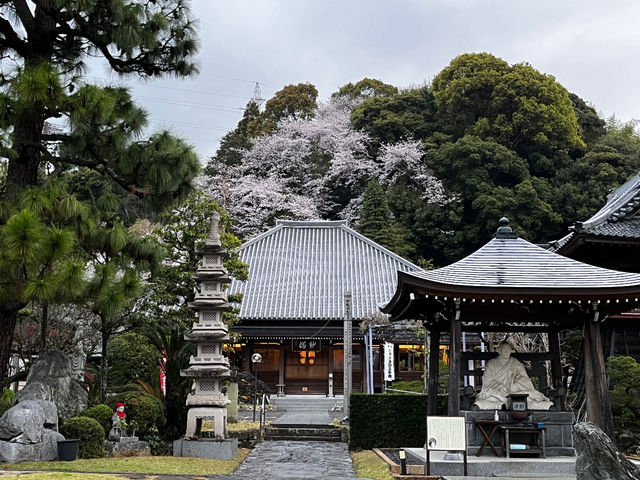 一乗寺の本堂_自力整体教室【清水・一乗寺】