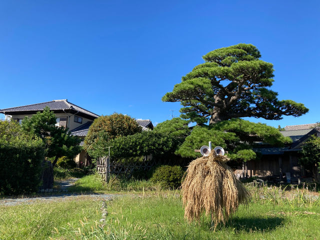 「まつのき農園 松の庵(いほり)」大きな松の木の左奥の日本家屋が会場です。_自力整体教室【焼津・まつのき農園 母屋】