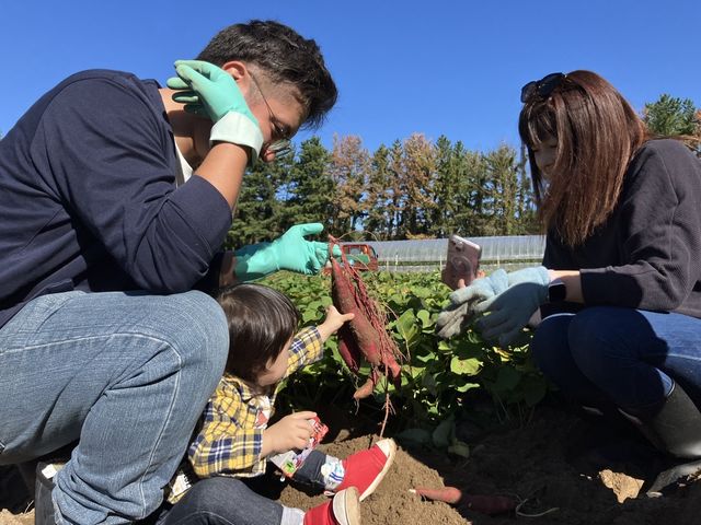 山形県酒田市さつまいも村