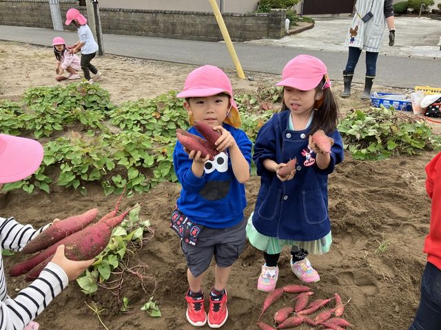 山形県酒田市さつまいも村